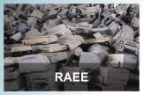raee
